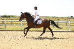 SBM_000774