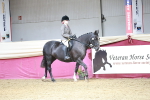 SBM_06973