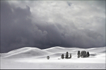 Storm Light