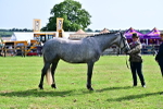 SBM_03323