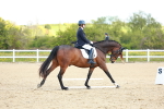 SBM_000384