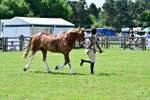 SBM_03913