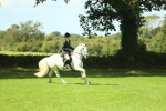 S30 - M&M Working hunter Pony portfolio