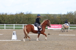 SBM_000989