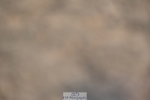 230811-142105-01810