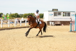 SBM_002937