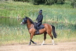 WJ7_7817