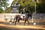SBM_14654