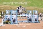 BPP_3442