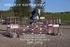 BPP_0703