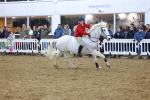 SBM_004334