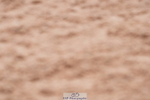 240505A-144728-06386