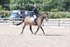 BPP_7596