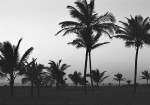 Sunset (Goa) #1