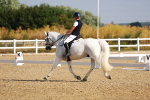SBM_008219