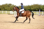 SBM_000806