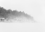 Whiteout - Wells and Holkham Beach Huts