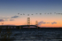 Mackinac Bridge at Sunset