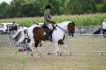 WJ7_5623