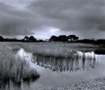 Warsash portfolio
