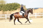 SBM_018136