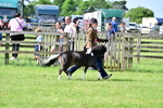 SBM_03695