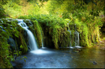 lathkill water