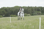 BVHT 140517  NXC -120