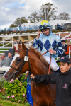 141023-Race 2-Whiskey Pete-0819