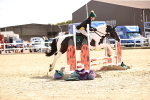 SBM_001947