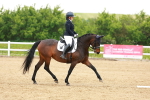 SBM_006037