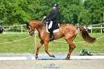 406-COOLEY_FOXTROT-Andrew_Downes-DR portfolio