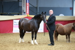SBM_16808