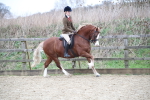 SBM_006342