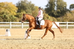 SBM_009156