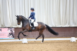 SBM_008178