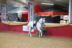 SBM_06013