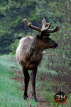3HPhotography5-21-25_GTNP_481_