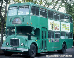 Slice of Life portfolio