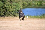 WJ6_6748