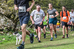 Dovedale-1298