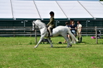 SBM_07785