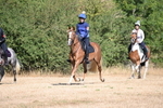 WJ6_7696