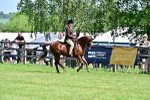 SBM_13877