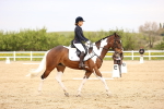 SBM_007347