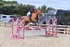 BPP_3677