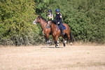 WJ6_7538