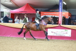 SBM_06414