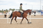 SBM_18105