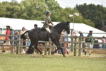 SBM_15997